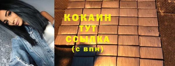 дмт Медногорск