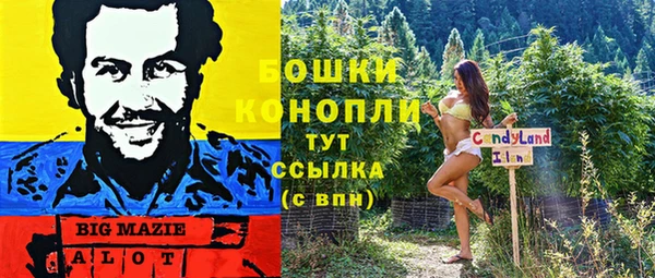 дмт Медногорск