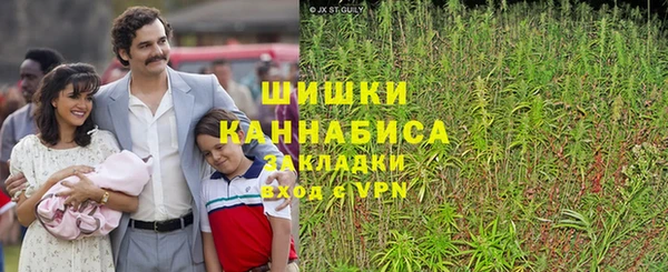 дмт Медногорск