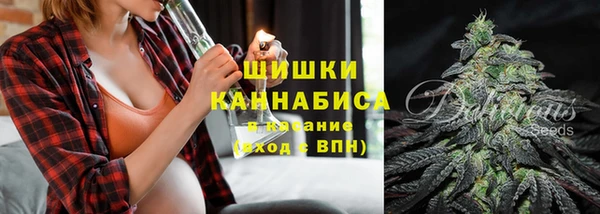 дмт Медногорск